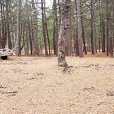 Review photo of Fearing Pond Campground — Myles Standish State Forest by Jean C., March 2, 2021