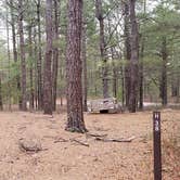 Review photo of Fearing Pond Campground — Myles Standish State Forest by Jean C., March 2, 2021