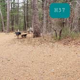 Review photo of Fearing Pond Campground — Myles Standish State Forest by Jean C., March 2, 2021