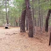 Review photo of Fearing Pond Campground — Myles Standish State Forest by Jean C., March 2, 2021