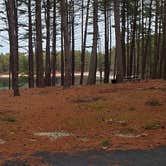 Review photo of Fearing Pond Campground — Myles Standish State Forest by Jean C., March 2, 2021