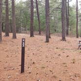 Review photo of Fearing Pond Campground — Myles Standish State Forest by Jean C., March 2, 2021