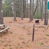 Review photo of Fearing Pond Campground — Myles Standish State Forest by Jean C., March 2, 2021