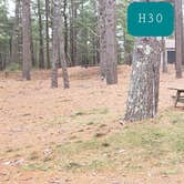 Review photo of Fearing Pond Campground — Myles Standish State Forest by Jean C., March 2, 2021