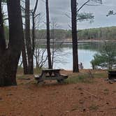 Review photo of Fearing Pond Campground — Myles Standish State Forest by Jean C., March 2, 2021