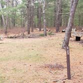 Review photo of Fearing Pond Campground — Myles Standish State Forest by Jean C., March 2, 2021