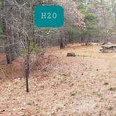 Review photo of Fearing Pond Campground — Myles Standish State Forest by Jean C., March 2, 2021