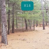 Review photo of Fearing Pond Campground — Myles Standish State Forest by Jean C., March 2, 2021