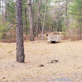 Review photo of Fearing Pond Campground — Myles Standish State Forest by Jean C., March 2, 2021