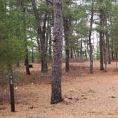 Review photo of Fearing Pond Campground — Myles Standish State Forest by Jean C., March 2, 2021