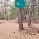 Review photo of Fearing Pond Campground — Myles Standish State Forest by Jean C., March 2, 2021