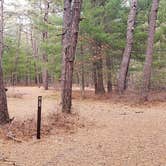 Review photo of Fearing Pond Campground — Myles Standish State Forest by Jean C., March 2, 2021