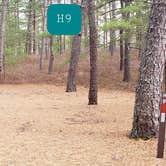 Review photo of Fearing Pond Campground — Myles Standish State Forest by Jean C., March 2, 2021