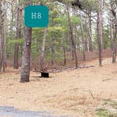 Review photo of Fearing Pond Campground — Myles Standish State Forest by Jean C., March 2, 2021