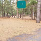 Review photo of Fearing Pond Campground — Myles Standish State Forest by Jean C., March 2, 2021