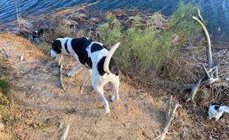 Jeff N.'s photo of camping with pets at Fairfield Lake State Park - PERMANENTLY CLOSED in Texas