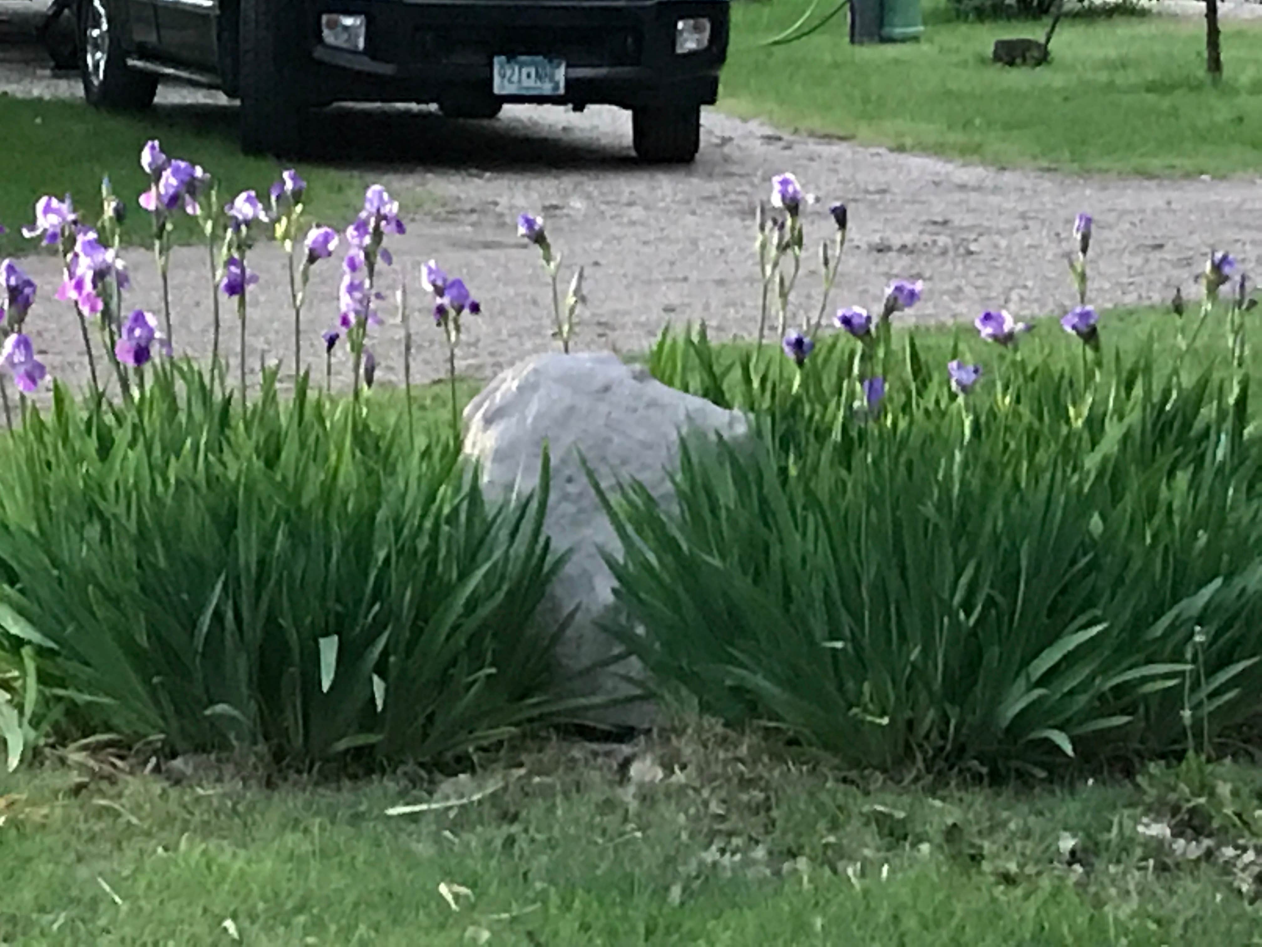 Camper-submitted photo at Badlands / White River KOA in South Dakota