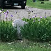 Review photo of Badlands / White River KOA by Jennie R., May 30, 2018
