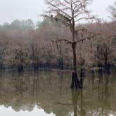 Review photo of Caddo Lake State Park Campground by Jeff N., March 2, 2021