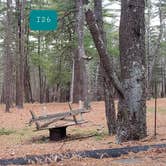 Review photo of Fearing Pond Campground — Myles Standish State Forest by Jean C., March 2, 2021