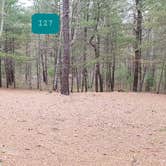 Review photo of Fearing Pond Campground — Myles Standish State Forest by Jean C., March 2, 2021