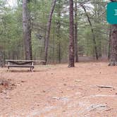 Review photo of Fearing Pond Campground — Myles Standish State Forest by Jean C., March 2, 2021