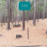 Review photo of Fearing Pond Campground — Myles Standish State Forest by Jean C., March 2, 2021