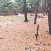 Review photo of Fearing Pond Campground — Myles Standish State Forest by Jean C., March 2, 2021