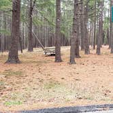 Review photo of Fearing Pond Campground — Myles Standish State Forest by Jean C., March 2, 2021