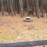 Review photo of Fearing Pond Campground — Myles Standish State Forest by Jean C., March 2, 2021