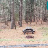 Review photo of Fearing Pond Campground — Myles Standish State Forest by Jean C., March 2, 2021