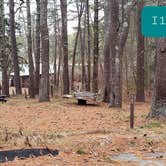 Review photo of Fearing Pond Campground — Myles Standish State Forest by Jean C., March 2, 2021