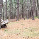 Review photo of Fearing Pond Campground — Myles Standish State Forest by Jean C., March 2, 2021