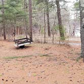 Review photo of Fearing Pond Campground — Myles Standish State Forest by Jean C., March 2, 2021