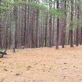 Review photo of Fearing Pond Campground — Myles Standish State Forest by Jean C., March 2, 2021