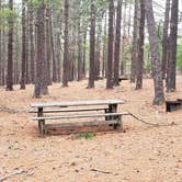 Review photo of Fearing Pond Campground — Myles Standish State Forest by Jean C., March 2, 2021