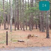 Review photo of Fearing Pond Campground — Myles Standish State Forest by Jean C., March 2, 2021