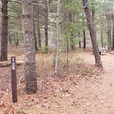 Review photo of Fearing Pond Campground — Myles Standish State Forest by Jean C., March 2, 2021