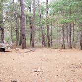 Review photo of Fearing Pond Campground — Myles Standish State Forest by Jean C., March 2, 2021