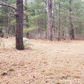 Review photo of Fearing Pond Campground — Myles Standish State Forest by Jean C., March 2, 2021