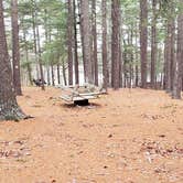 Review photo of Fearing Pond Campground — Myles Standish State Forest by Jean C., March 2, 2021