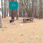 Review photo of Fearing Pond Campground — Myles Standish State Forest by Jean C., March 2, 2021