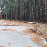 Review photo of Fearing Pond Campground — Myles Standish State Forest by Jean C., March 2, 2021