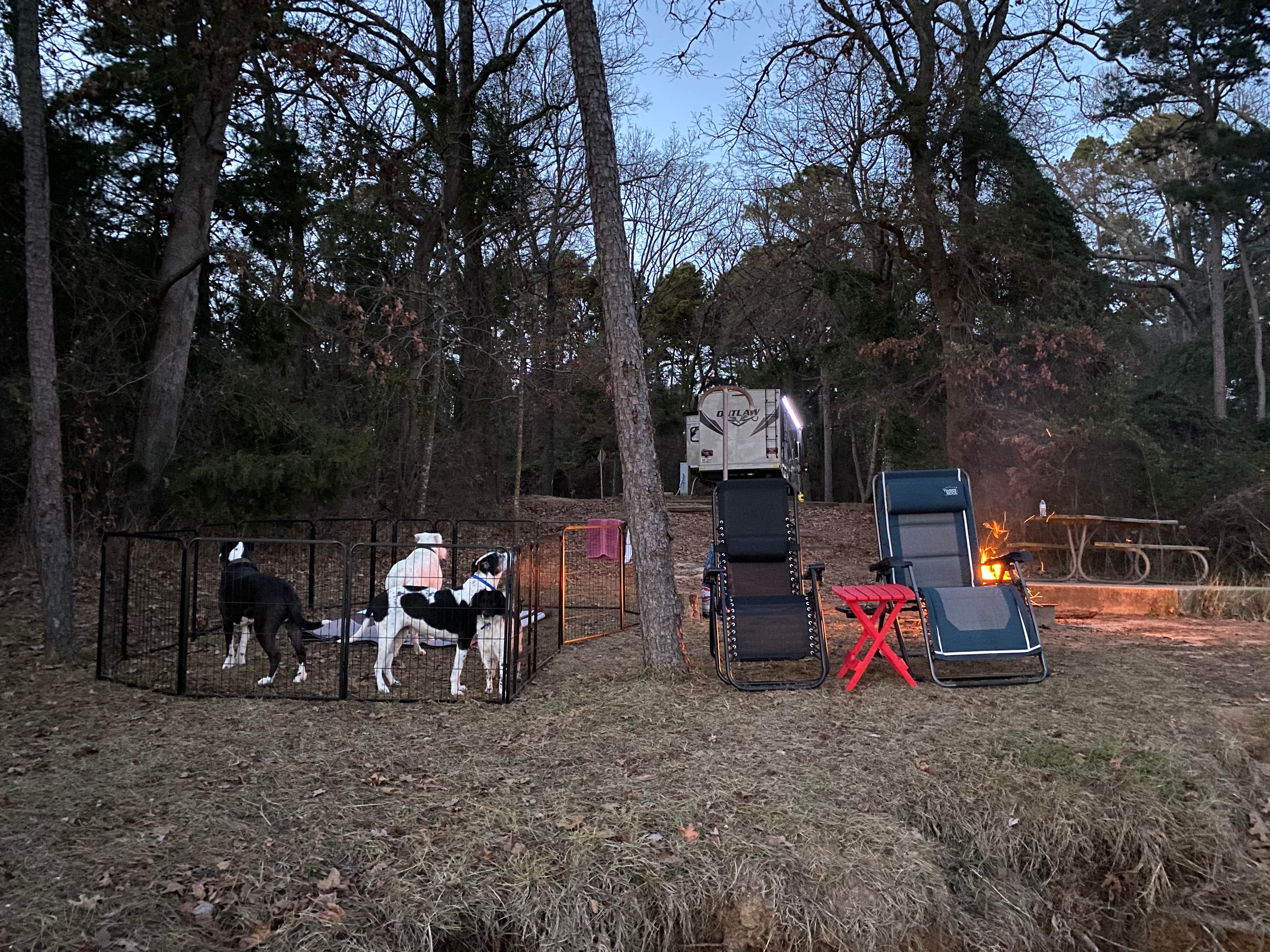 Jeff N.'s photo of camping with a horse at Lake Bob Sandlin State Park Campground near Longview, TX