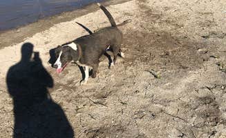 Jeff N.'s photo of camping with pets at Arkansas Point Campground — Lake Pueblo State Park near Pueblo, CO