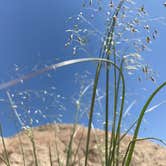 Review photo of Badlands / White River KOA by Jennie R., May 30, 2018
