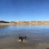 Review photo of Arkansas Point Campground — Lake Pueblo State Park by Jeff N., March 2, 2021