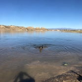 Review photo of Arkansas Point Campground — Lake Pueblo State Park by Jeff N., March 2, 2021
