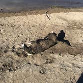 Review photo of Arkansas Point Campground — Lake Pueblo State Park by Jeff N., March 2, 2021
