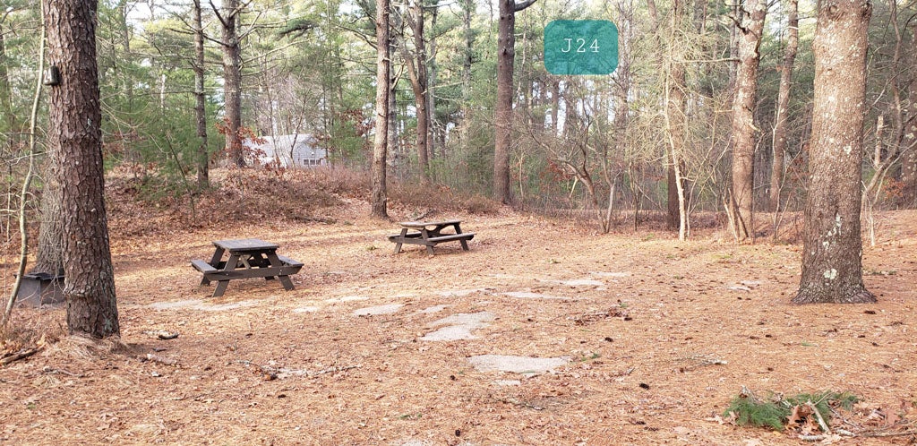 Camper submitted image from Barretts Pond Campground — Myles Standish State Forest - 1
